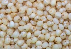 Tansiyonu 12-8'e sabitliyor: Doğanın en güçlü tansiyon ilacı! Kolesterolü anında yerle bir ediyor