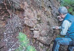 Ölü faylar canlandı