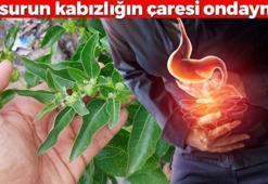 Mardin'de asırlardır kullanılıyor! Basurun ve kabızlığın çaresi onda: Sabah aç karnına 1 çay kaşığı tüketmek yetiyor