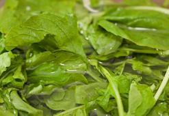 ABD'li uzmanlar ilan etti: Bu yeşillik ıspanak, roka ve marulu solladı! “Dünyanın en sağlıklı sebzesi” seçildi