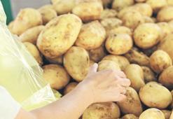 Market tarla farkı kapanmıyor