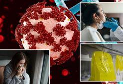 Vaka sayılarında artış yaşanıyor! Uzman isimden 'atom' ve 'sarı serum' uyarısı
