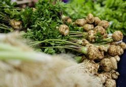 Öksürük için bal ve süte koşmayın! İbn-i Sina’nın tavsiye ettiği sebze şaşırttı