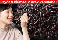 İmparatorların sofrasında yer alan besin! Çinko, selenyum ve demir deposu