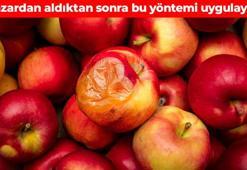 Elmanın tüketim ömrünü uzatıyor! Günler sonra bile kütür kütür taze oluyor