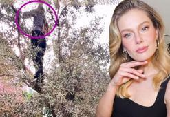 Güzel oyuncu ağaç tepelerinde! Burcu Biricik zeytin topladı
