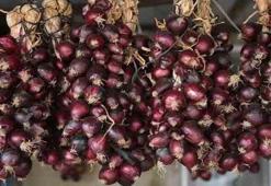 Herkesin evinde var ama kimse değerini bilmiyor! Meğer kalp ilacı elimizin altındaymış