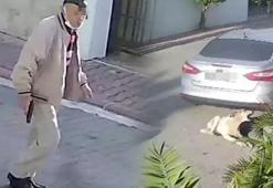 Köpeği silahla vuran emekli polis için istenen ceza belli oldu
