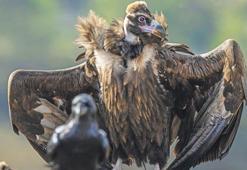 Akbaba istasyonu ziyaretçileri ağırlıyor