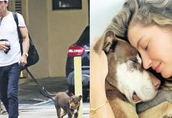 Köpeğini klonlattı