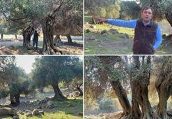 Sadece 4 ülkede var, Türkiye onlardan biri! Kim getirdi hala bilinmiyor