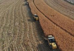 Çiftçilere 1,5 milyar liralık tarımsal destekleme ödemesi
