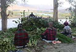 Göl yüzeyinden toplandı, kadınların ellerinde sanat eserine dönüştü! Depremzedelerden ilham veren dönüşüm
