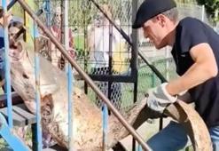 Piknik yapmak isterken 20 bin liranın sahibi oldu