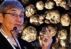 Canan Karatay'ın Kasım ayı sebzesi! Karaciğere reset atıp böbrekleri makine gibi çalıştırıyor, insülini anında baskılıyor!