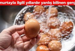 Yumurtayı yıkamak doğru mu? Herkesin merak ettiği soru cevabını buldu
