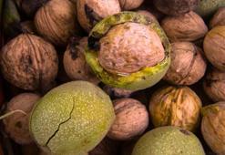 İçini yiyip kabuğunu sakın çöpe atmayın! Öyle bir faydası varmış ki, resmen doğal mücevher!