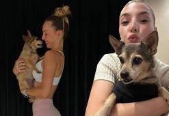 Can dostunu kaybetmişti! Sude Burcu özlemini dile getirdi