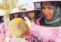 Pembe maskeli arıcılar