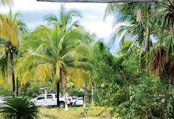 Evin bahçesinden mezarlık çıktı!