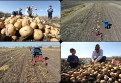 Kilosu 12 liraya kadar indi! Kalp ve damar sağlığını koruyor, bütçeyi sarsmadan vücuda maksimum fayda sağlıyor