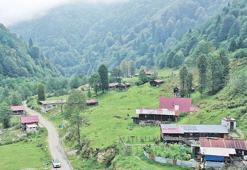 Senoz’u bir yere yazın