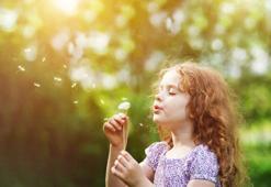 Uzmandan sonbahar uyarısı: Polenler bitti ama bu kez küf mantarları tehdit ediyor