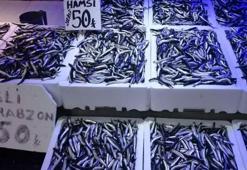 Trabzonlular hamsiye doydu: Kilosu 50 TL'den satılıyor