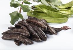 Unutulan Anadolu şifası! Bir tanesi bile metabolizmayı ateşliyor