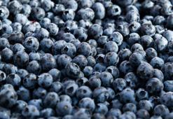 Bilimsel olarak kanıtlandı: Yaban mersini cildi yeniliyor, parlaklık katıyor