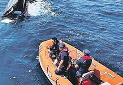 Halil Yukay'ın teknesine çarpmıştı! Kaptan hakim karşısına çıkıyor