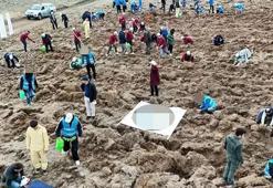 11 Kasım Milli Ağaçlandırma Günü'nde 'çifte rekor' kırıldı