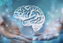 Güç merkezi beyninizi korumak: Uzmanlardan 8 kritik ipucu