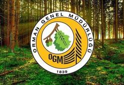 TARIM VE ORMAN BAKANLIĞI PERSONEL ALIMI 2025! Orman Bakanlığı 496 personel alımı ne zaman?