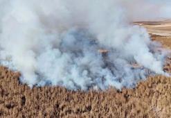 Konya'nın tamamen kuruyan kuş cennetindeki sazlıklar 2 gündür yanıyor