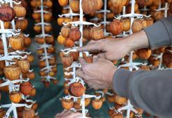 Eski ahırı tesise çevirdiler, üretim 28 kat arttı! 500 kilodan 14 tona çıkan meyve şimdi Avrupa’ya açılıyor