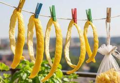 1 parça limon kabuğunu balkona asın! Etkilerine inanamayacaksınız