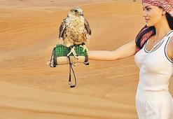 Dubai'de çöl safarisi
