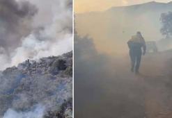 Aydın'da orman yangını rüzgarın etkisiyle yayıldı! Ekipler müdahale ediyor