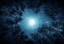 Kasım ayının son haftasında gökyüzüne dikkat: 15 gün boyunca burçlar büyük bir sınavdan geçecek