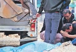 Ekmek almaya gitti hayatından oldu!