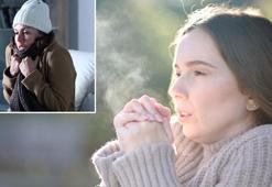 Japonlar yıllardır bu yöntemle ısınıyormuş! Yüzde 30 enerji tasarrufu sağlıyor