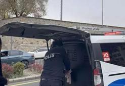 Eşini yaralayan kadın tutuklandı, kocası pompalıyla adliyeye geldi!