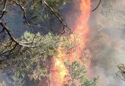 Hatay'da orman yangını! Alevlerle mücadele başladı
