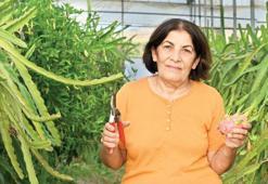 Kadın eli değen topraklarda bereket var