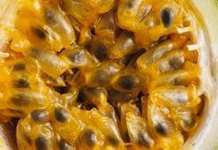 Tanesi 1 kutu ilaca bedel! Kan şekerini terazi gibi dengeliyor, kalbin meyvesi olarak da biliniyor!