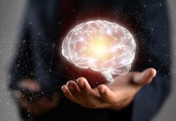 Beynin beş gizli dönemi ortaya çıktı! Meğer dönüm noktası bu yaşta başlıyormuş