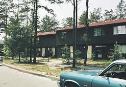 50 yıl sonra çözülen cinayet