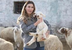 Modelist genç kadının köye dönüş başarısı! Sürüsünü 3 yılda 4'e katladı