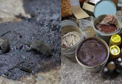 Zabıtadan şok baskın! Kilis’te merdiven altı üretimde ölü fareler ortaya çıktı